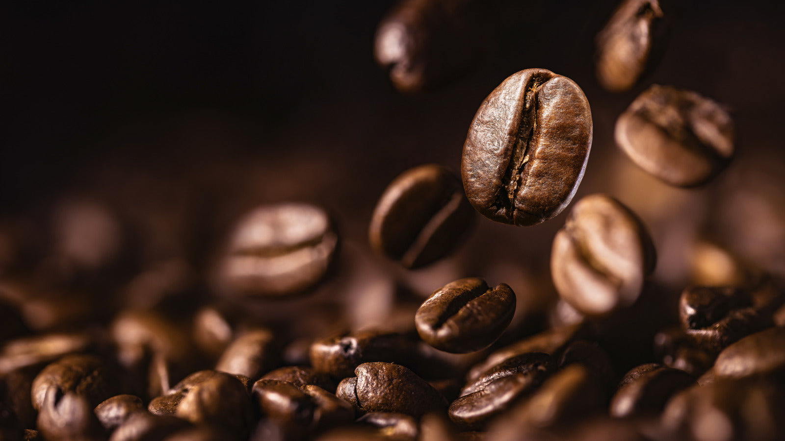 Shop Coffee Beans